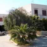 DSCN5490