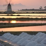 SALINE3