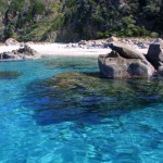 mare