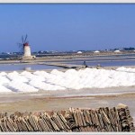 sale e saline